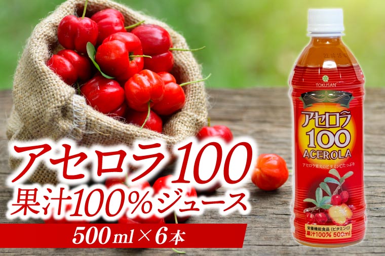 アセロラ100 ストレート100%ジュース(500ml×6本)｜アセロラ フルーツ 果物 くだもの アセロラジュース ジュース フルーツジュース ストレート 果汁 沖縄県 おきなわ 豊見城市(AD002-1)
