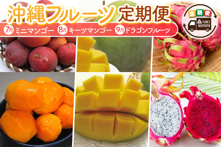 【2026年7月より順次発送】【3ヶ月定期便】沖縄フルーツ定期便(7・8・9月コース)｜フルーツ くだもの 果物 マンゴー キーツマンゴー ドラゴンフルーツ 名護パイン園 定期便 フルーツ定期便 先行予約 沖縄県 豊見城市(AC021)