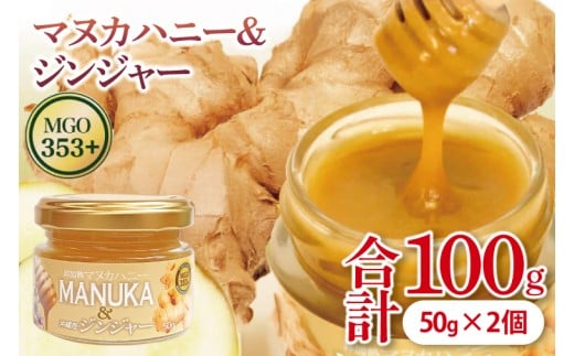 マヌカハニー＆沖縄県産ジンジャー 50g×2個｜はちみつ ハチミツ 蜂蜜 マヌカハニー ジンジャー 生姜 ビタミン お土産 ギフト プレゼント お祝い 人気 沖縄 沖縄県 豊見城市(DK006)
