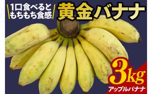 CF001-1　黄金バナナ（アップルバナナ）約3kg