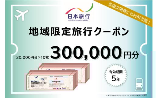 【沖縄県豊見城市】日本旅行 地域限定旅行クーポン 300,000円分｜旅行 観光 沖縄旅行 沖縄観光 日本旅行 クーポン 地域限定 チケット おきなわ 沖縄県 豊見城市(DI006)