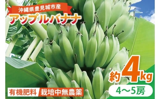 アップルバナナ 約4kg｜バナナ ばなな アップルバナナ フルーツ くだもの 果物 沖縄フルーツ 有機肥料 沖縄 沖縄県 豊見城市(DL003)