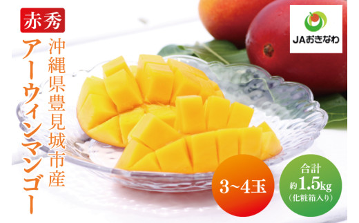 【2026年6月より順次発送】菜々色畑の赤秀アーウィンマンゴー 3～4玉(約1.5kg)【化粧箱】｜沖縄県 豊見城市 マンゴー アーウィンマンゴー フルーツ 果物 くだもの おきなわマンゴー ギフト 贈り物 化粧箱入り 先行予約(AE003)