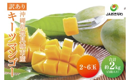 【2026年8月より順次発送】【訳あり】菜々色畑のキーツマンゴー 2～6玉(約2kg)【白箱】ご家庭用｜訳あり わけあり 訳アリ キーツマンゴー マンゴー キーツ フルーツ 先行予約 果物 くだもの おきなわマンゴー 家庭用 沖縄県 豊見城市(AE016)