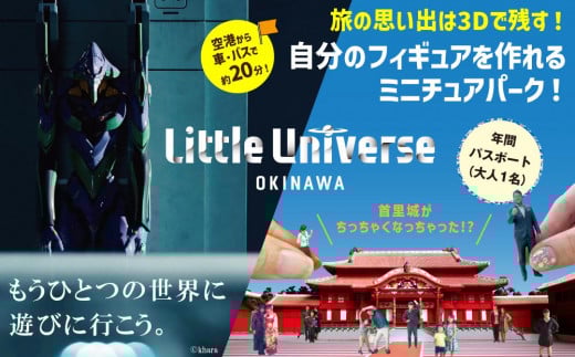 AJ005　Little Universe 年間パスポート (大人1 名)