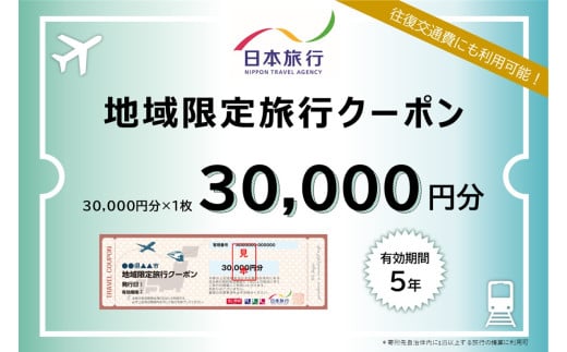 【沖縄県豊見城市】日本旅行 地域限定旅行クーポン 30,000円分｜旅行 観光 沖縄旅行 沖縄観光 日本旅行 クーポン 地域限定 チケット おきなわ 沖縄県 豊見城市(DI002)