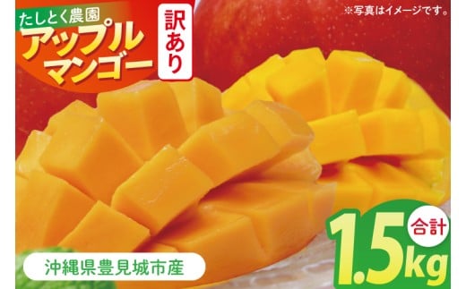 【2026年6月下旬より順次発送】★訳あり★沖縄県豊見城市産アップルマンゴー 約1.5kg｜マンゴー アップルマンゴー 訳あり わけあり フルーツ くだもの 果物 先行予約 数量限定 おきなわ 沖縄 沖縄フルーツ 豊見城市(DJ006)