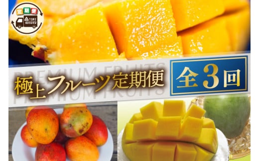 【2026年6月より順次発送】【3ヶ月定期便】豊見城 極上フルーツ定期便(6・7・8月コース)｜フルーツ くだもの 果物 マンゴー アップルマンゴー キーツマンゴー 名護パイン園 定期便 フルーツ定期便 先行予約 沖縄県 豊見城市(AC022)