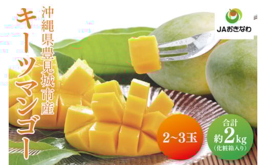 【2026年8月より順次発送】菜々色畑のキーツマンゴー 2～3玉(約2kg)【化粧箱】｜沖縄県 豊見城市 マンゴー キーツマンゴー フルーツ 果物 くだもの おきなわマンゴー 先行予約 ギフト 贈り物 化粧箱入り 先行予約(AE015)