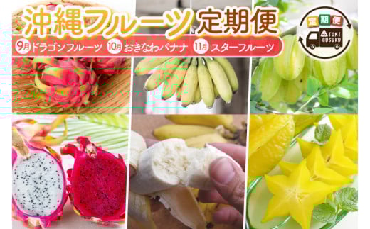 【2026年9月より順次発送】【3回定期便】沖縄フルーツ定期便（9・10・11月コース）｜フルーツ くだもの 果物 スターフルーツ ドラゴンフルーツ バナナ 名護パイン園 定期便 フルーツ定期便 沖縄フルーツ 先行予約 おきなわ 沖縄県 豊見城市(AC018)