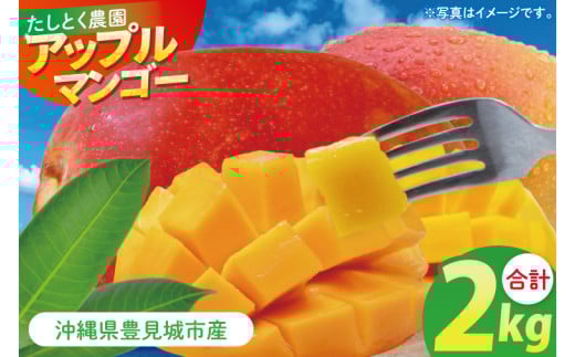 【2026年6月下旬より順次発送】沖縄県豊見城市産アップルマンゴー 約2kg｜マンゴー アップルマンゴー フルーツ くだもの 果物 先行予約 数量限定 おきなわ 沖縄 沖縄フルーツ 豊見城市(DJ001)
