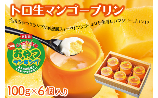AC016-1　トロ生マンゴープリン(100ｇ×6個入り)