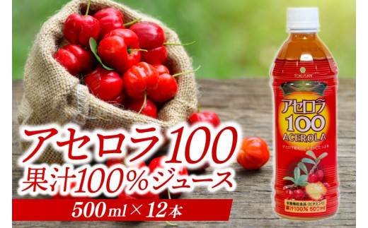 アセロラ100 ストレート100%ジュース(500ml×12本)｜アセロラ フルーツ 果物 くだもの アセロラジュース ジュース フルーツジュース ストレート 果汁 沖縄県 おきなわ 豊見城市(AD003)