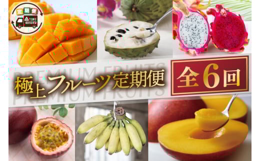 【6回定期便】豊見城 極上フルーツ定期便(全6回)｜フルーツ くだもの 果物 沖縄フルーツ マンゴー バナナ パッションフルーツ アテモヤ アップルマンゴー ドラゴンフルーツ キーツマンゴー 定期便 フルーツ定期便 沖縄県 豊見城市 人気 送料無料(AC023)