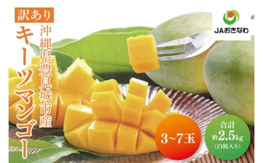 【2026年8月より順次発送】【訳あり】菜々色畑のキーツマンゴー 3～7玉(約2.5kg)【白箱】ご家庭用｜訳あり わけあり 訳アリ キーツマンゴー マンゴー キーツ フルーツ 果物 くだもの おきなわマンゴー 家庭用 沖縄県 豊見城市(AE017)