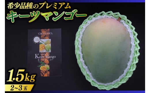 【2026年8月より順次発送】稀少プレミアム！！豊見城市産キーツマンゴー 約1.5kg(2?3玉)｜マンゴー キーツマンゴー フルーツ 果物 くだもの 先行予約 沖縄 おきなわ 沖縄県 豊見城市(BV001-1)
