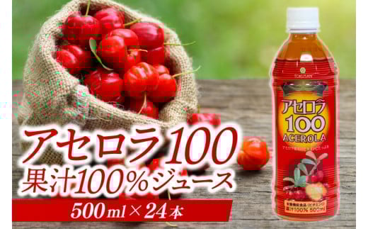 アセロラ100 ストレート100%ジュース(500ml×24本)｜アセロラ フルーツ 果物 くだもの アセロラジュース ジュース フルーツジュース ストレート 果汁 沖縄県 おきなわ 豊見城市(AD004)