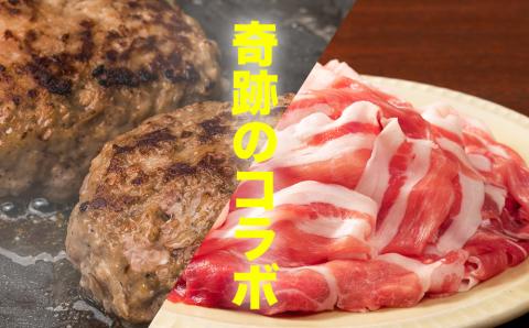 大容量！沖縄県産豚スライス肉1.6キロとジューシーハンバーグ800グラムセット　県産　島豚　豚肉　大容量　豚肉　スライス肉　肉　ハンバーグ　ジューシー　沖縄　うるま市