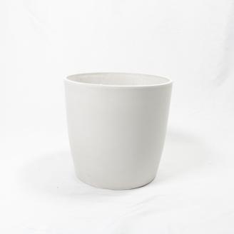 沖縄の観葉植物 人気のフィカス フランスゴム6号 シュエット鉢ポット