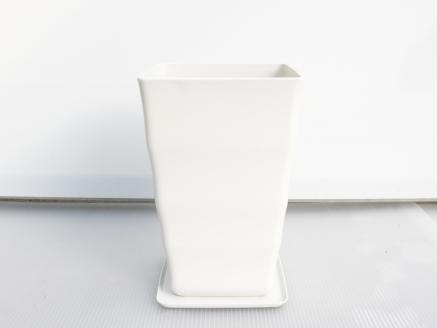 沖縄の観葉植物　人気のフィカス ベンガレンシス7号　角鉢