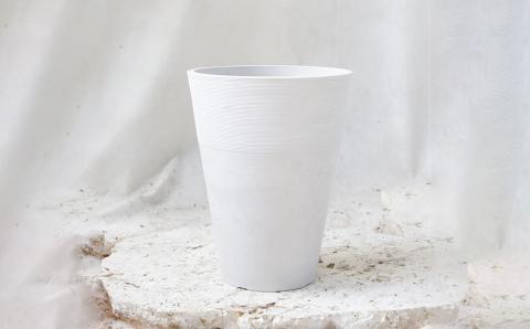 沖縄の観葉植物　人気のフィカス ベンガレンシス7号　シュエット鉢