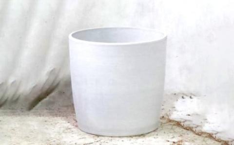 沖縄の観葉植物　人気のフィカス　ベンガレンシス8号　シュエット鉢ポット