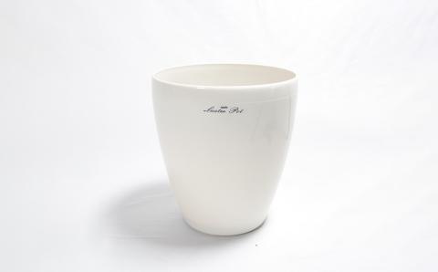 沖縄の観葉植物　人気のフィカス ベンガレンシス8号 ラスターポット