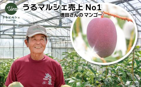 【ふるさと納税】【希少な大玉５００g】徳田さんの極上贈答用マンゴー　大玉2個１kg【 先行予約 2026年発送 】アップルマンゴー　マンゴー　極上　贈答用　沖縄県産