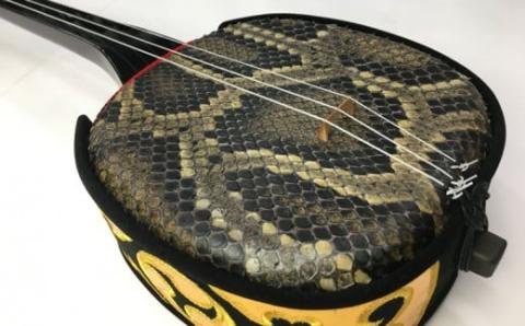 本蛇皮強化張り三線ソフトケースセット【新垣三線店】