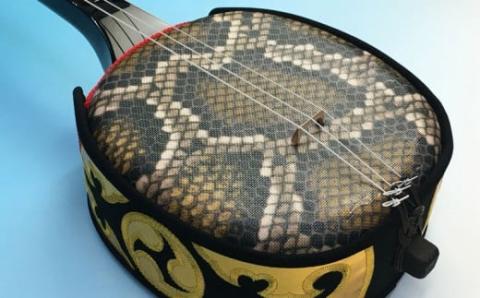 人工皮三線ソフトケースセット【新垣三線店】