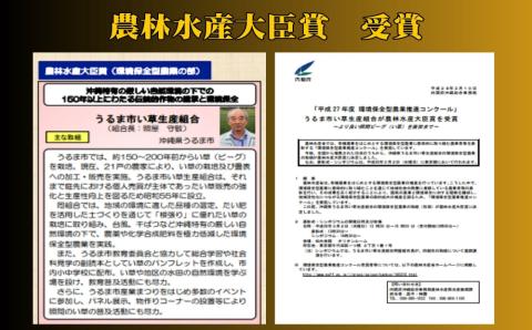 寝ゴザ　い草マット【照間ビーグ】80cm×190cm