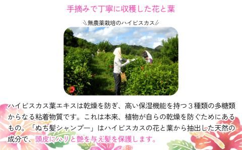 塩とハイビスカスのシャンプー「ぬち髪」×2本