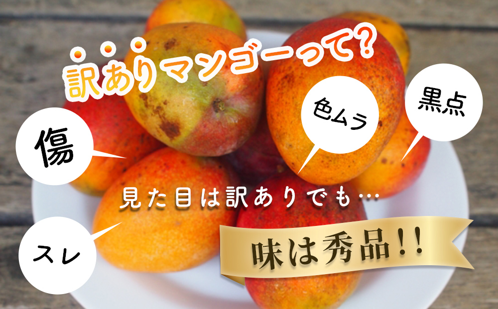沖縄県産 訳ありマンゴー 2kg【 先行予約 2026年発送 】マンゴー 濃厚 甘い ジューシー 南国 フルーツ 果物 産地直送 訳あり 国産 お取り寄せ 沖縄 うるま市