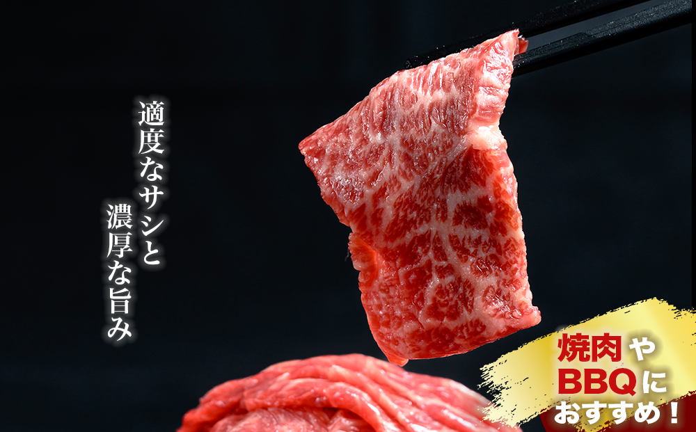 沖縄県産黒毛和牛【あやはし牛】お任せスライスセット500g