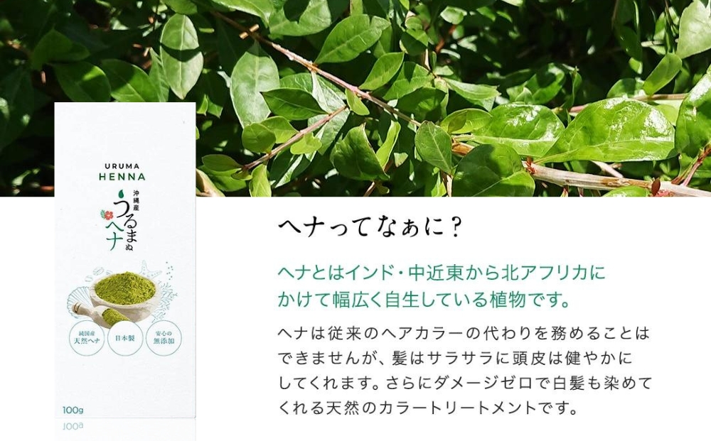【3回定期便】沖縄産ヘナ「うるまヘナ」1袋（100g）