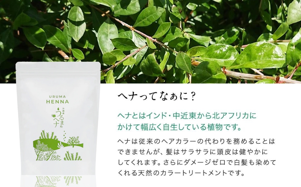 沖縄産ヘナ「うるまヘナ」1袋（500g）