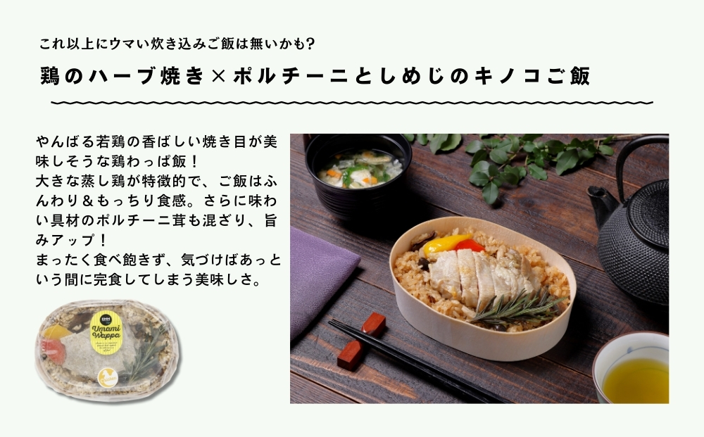 わっぱめし UMAMI WAPPA 4個セット