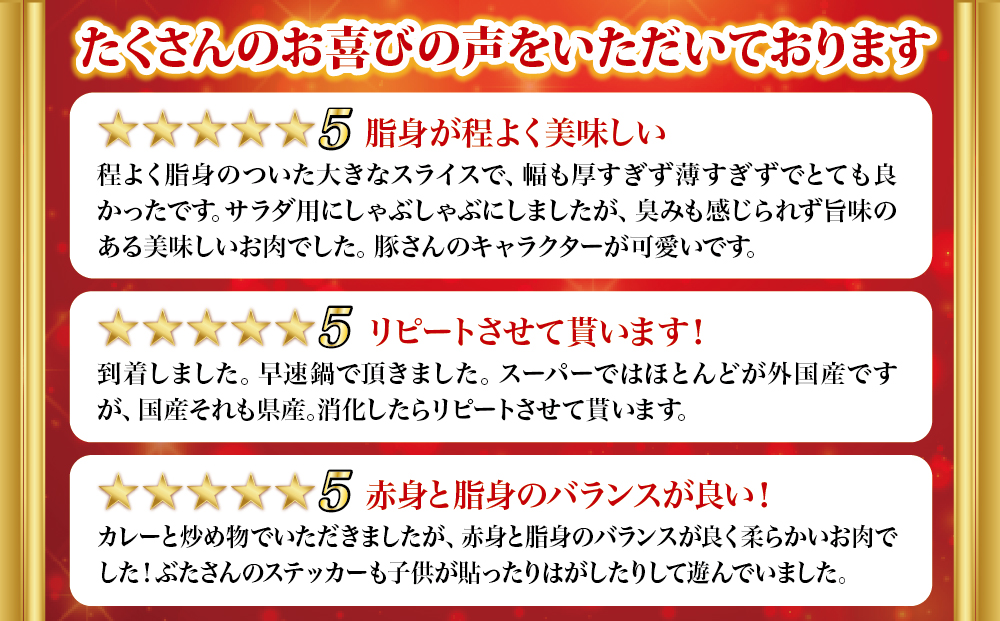 大容量！沖縄県産豚スライス4キロセット　県産　豚肉　大容量　豚肉　スライス肉　肉　ジューシー　沖縄　うるま市