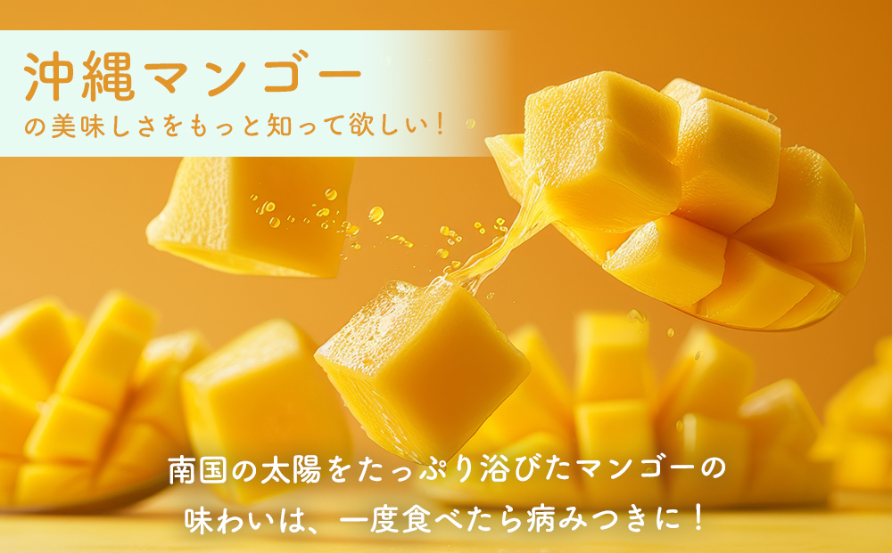 ハナトフルーツ 沖縄県産マンゴーA品 ２ｋｇ 【先行予約 2026年発送 】