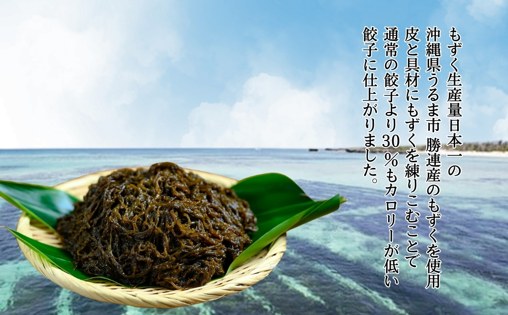 もずく餃子　12個入×5パックセット【勝連漁業協同組合】