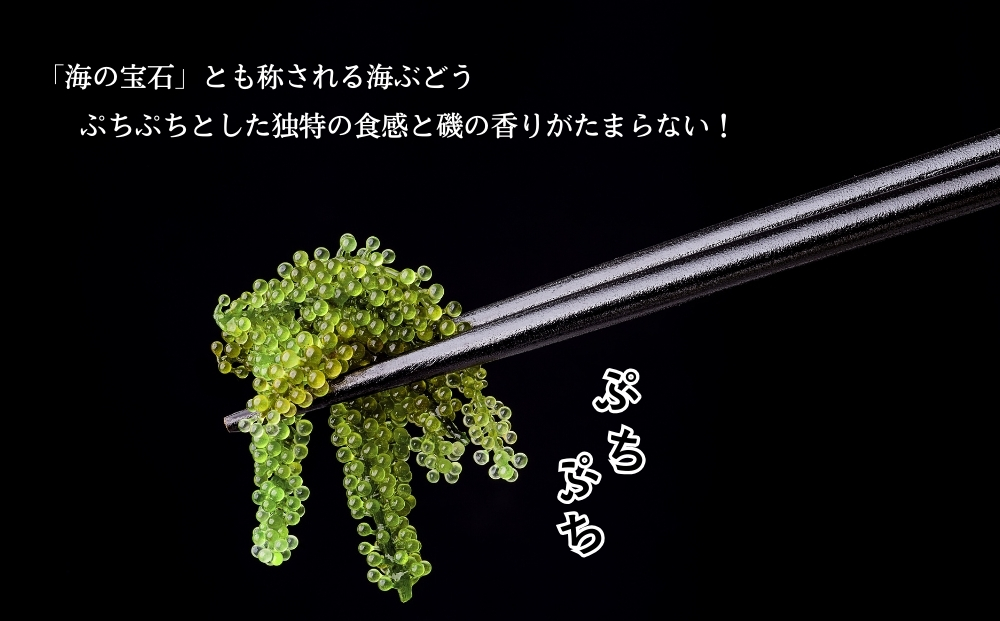 【うるま市産】訳あり海ぶどう　500g（茎付き）