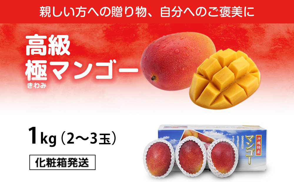 高級マンゴー　極１kg【熱帯資源植物研究所】
