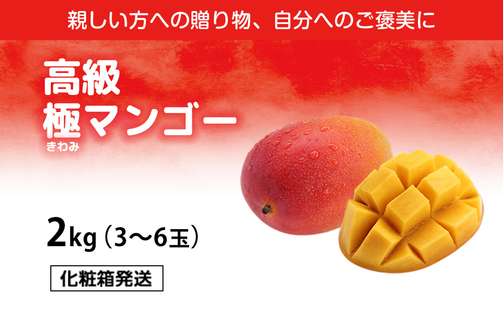 高級マンゴー　極２kg【熱帯資源植物研究所】