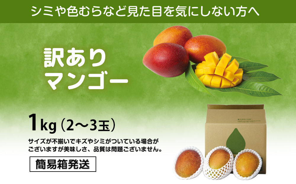 訳ありマンゴー１kg【熱帯資源植物研究所】