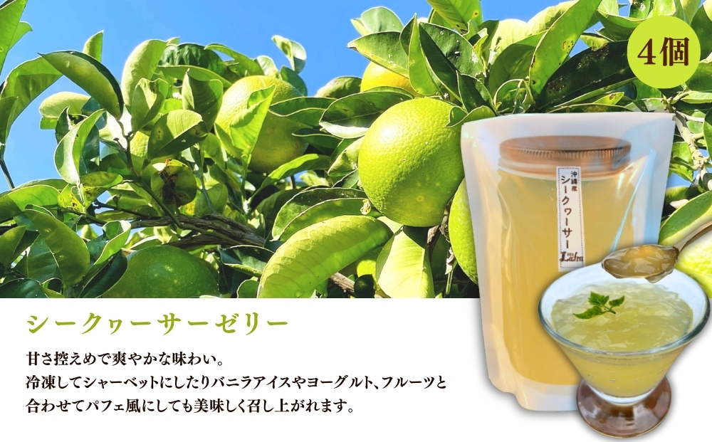 【おやつの実　Lafra（ラフラ）】自家製ゼリーアソート8個セット　洋菓子　素材にこだわった　おやつ　おかし　うるま市　沖縄　手作り　ゼリー　シークヮーサー　コーヒー　コーヒーゼリー