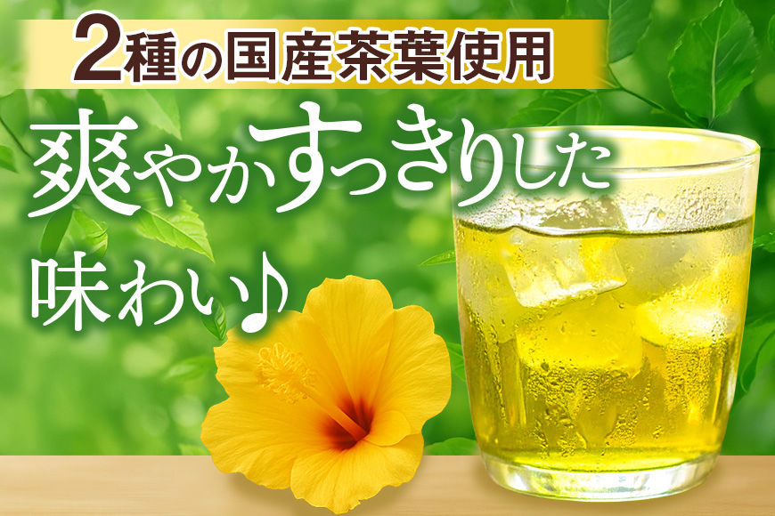 琉球ビバレッジ 緑茶500ml×24本