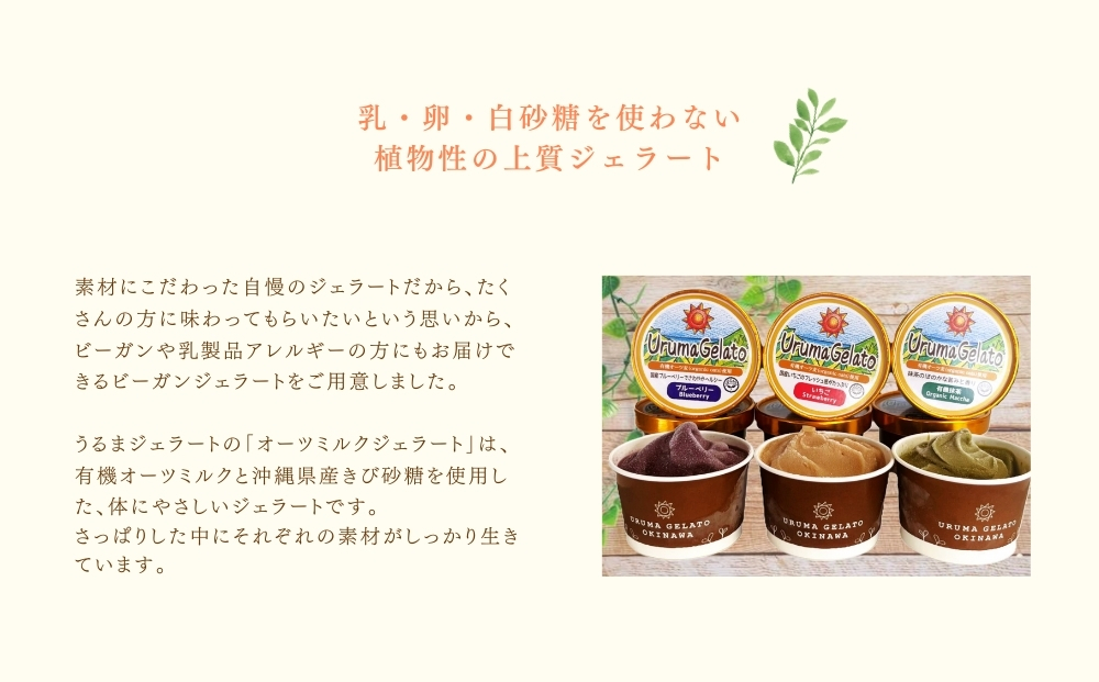 うるまジェラート　オーツミルク6個セット