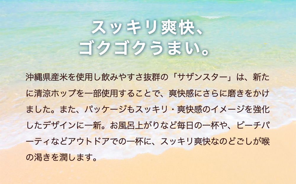 オリオンビール サザンスター（350ml×24缶）☆