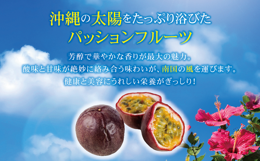 うるま市産パッションフルーツ（9～12玉）【2025年発送】