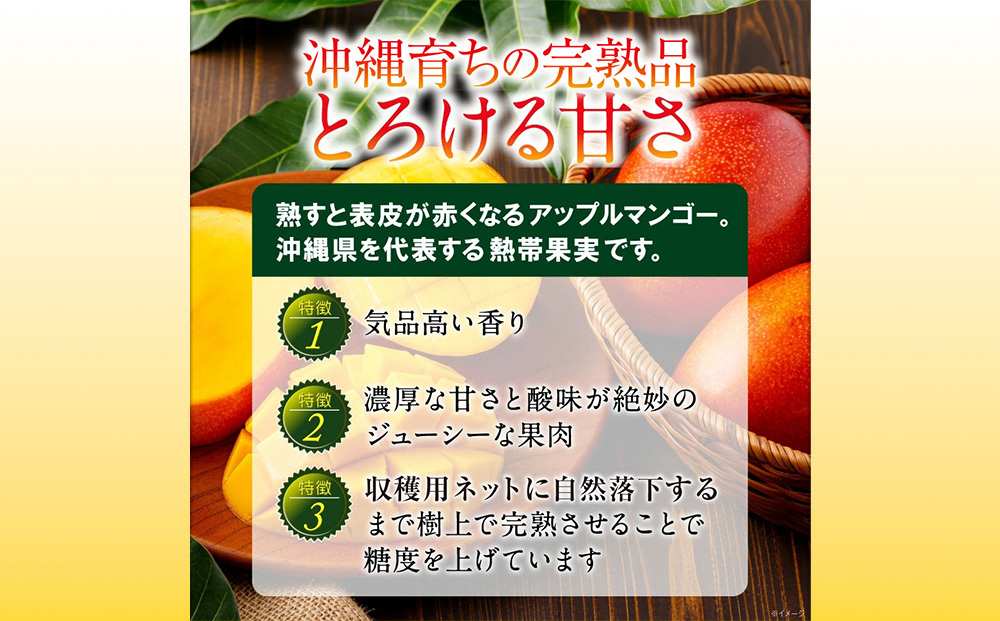  沖縄県 うるま市産 完熟 マンゴー 秀品 約1kg【2026年発送】